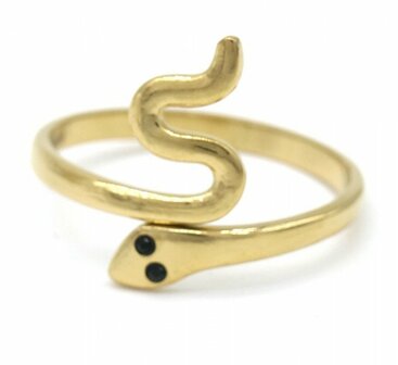 Ring slang adjustable s.steel gold silver